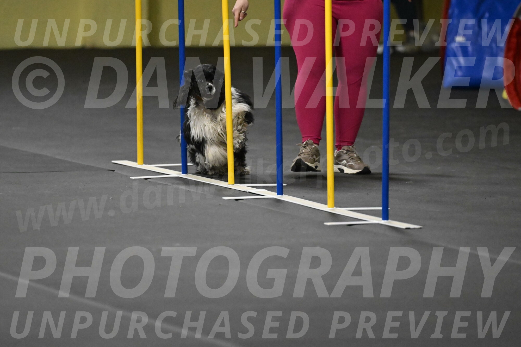 Latimer-Staats-13117