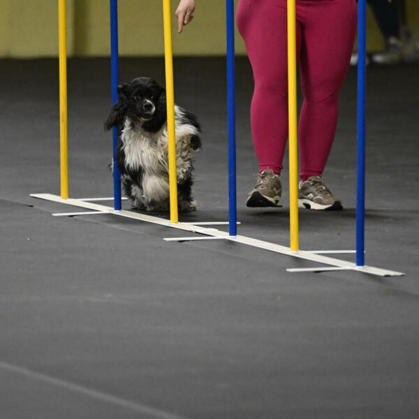 Latimer-Staats-13117