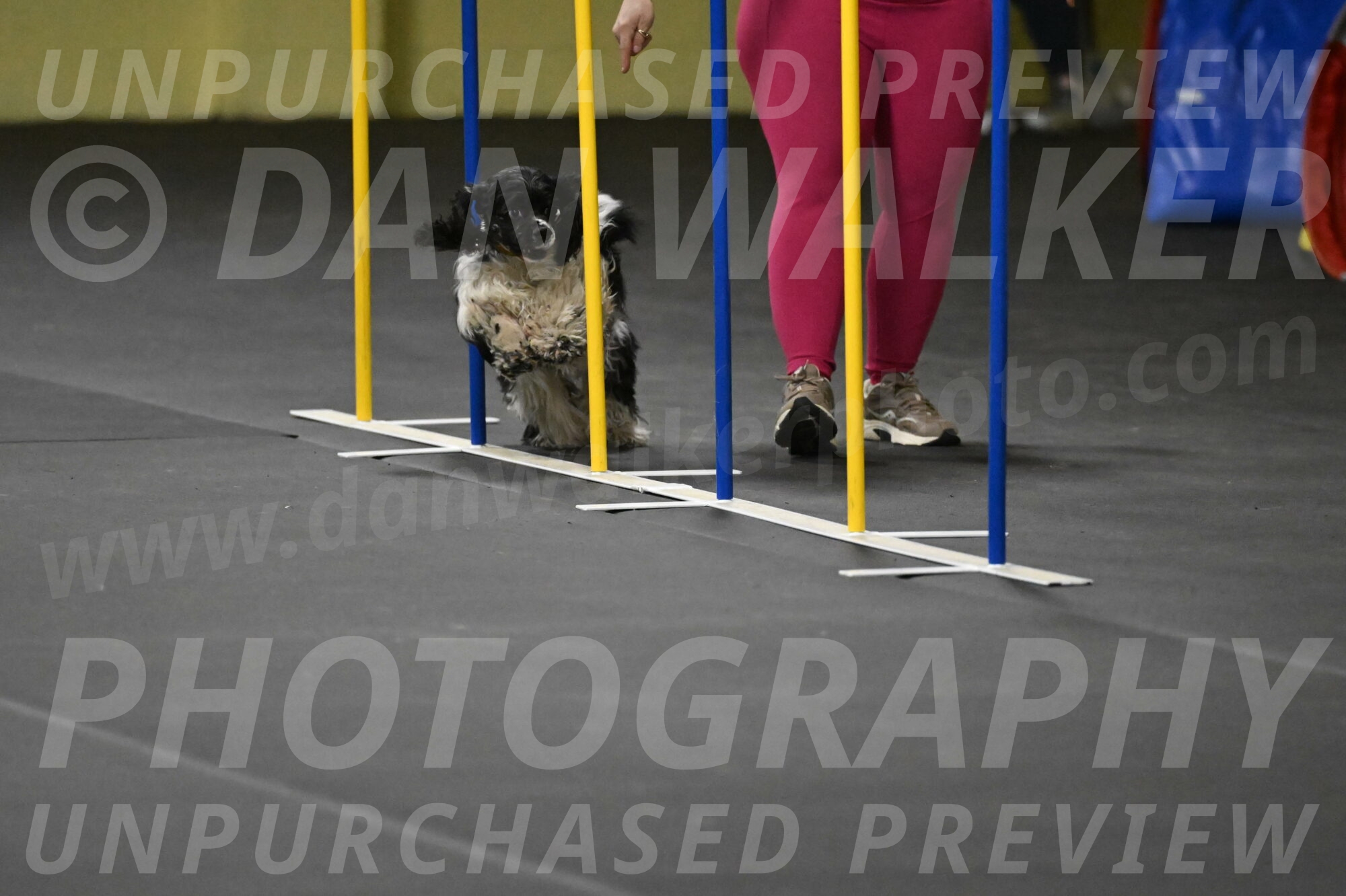 Latimer-Staats-13118