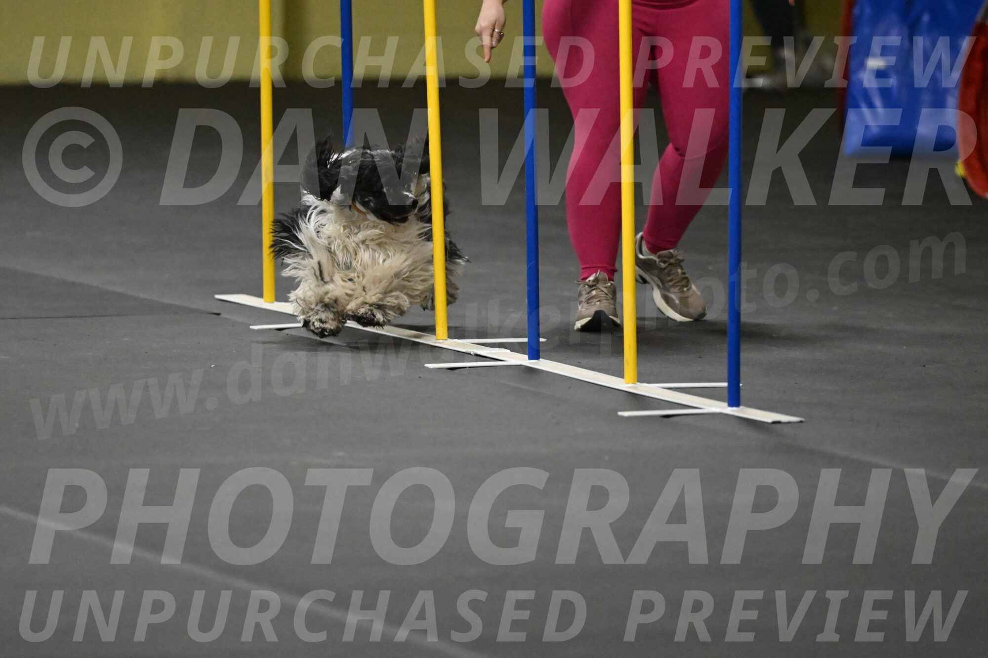 Latimer-Staats-13119