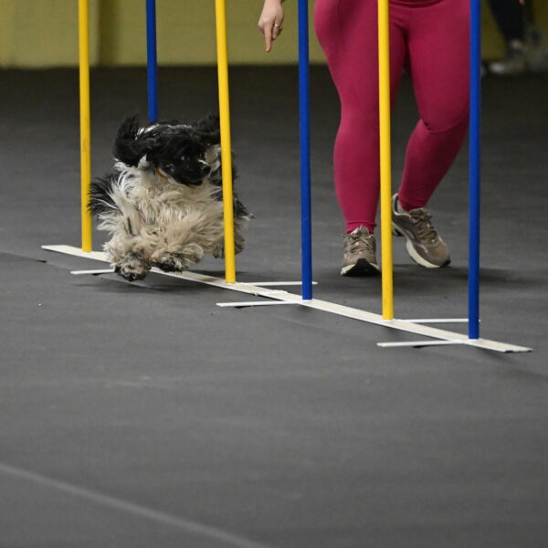 Latimer-Staats-13119