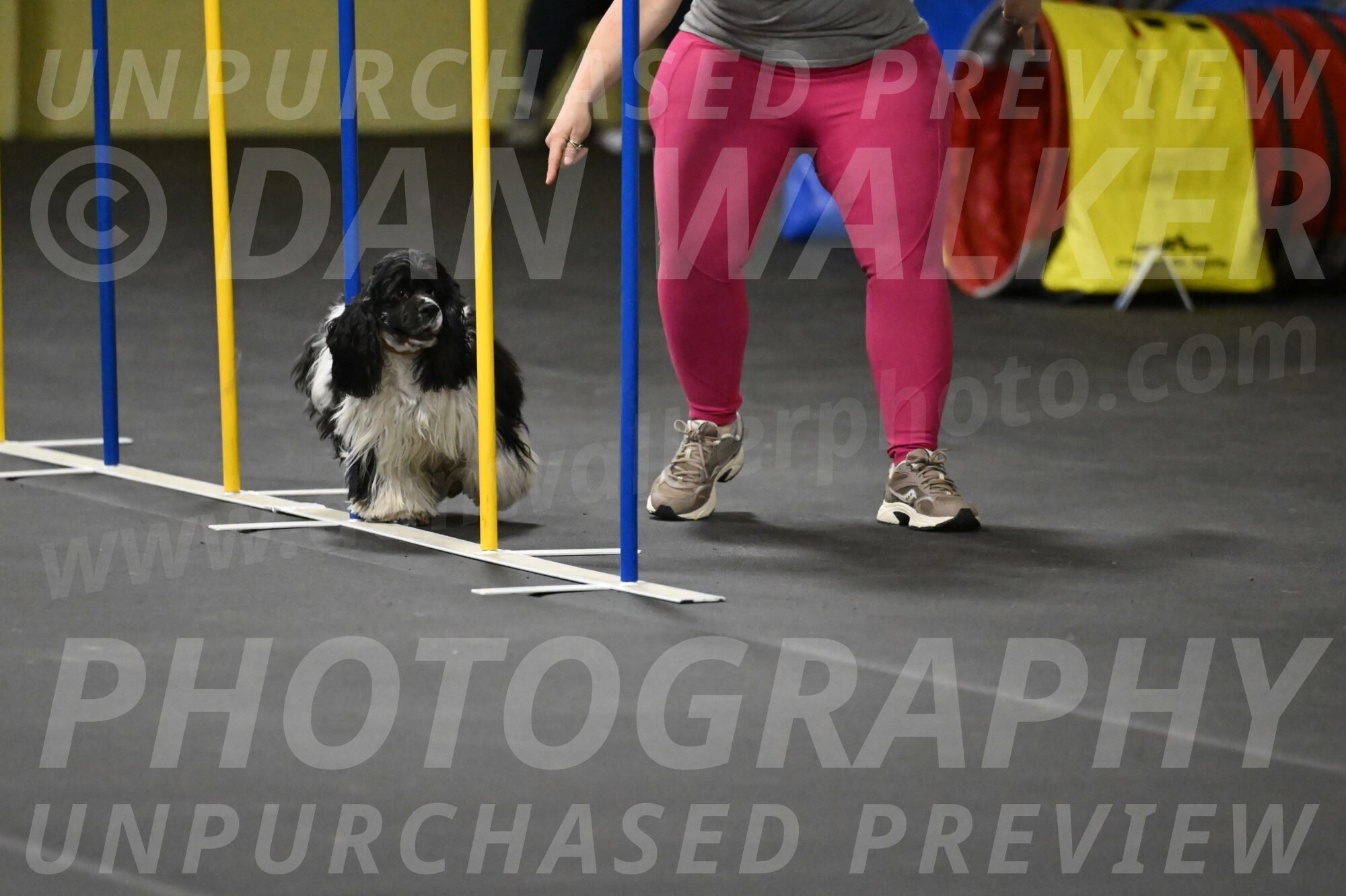 Latimer-Staats-13132