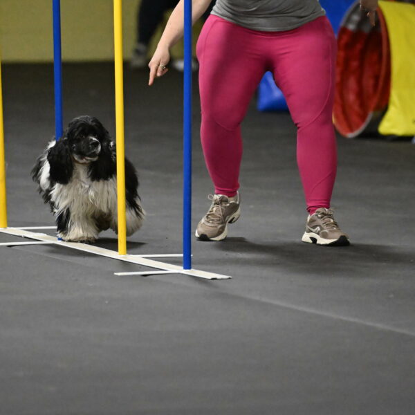 Latimer-Staats-13132