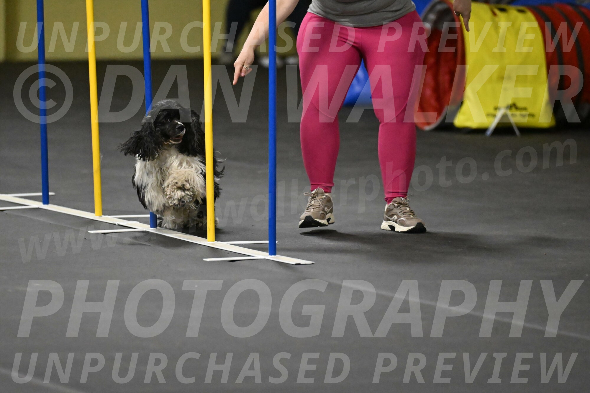 Latimer-Staats-13133