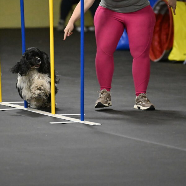 Latimer-Staats-13133