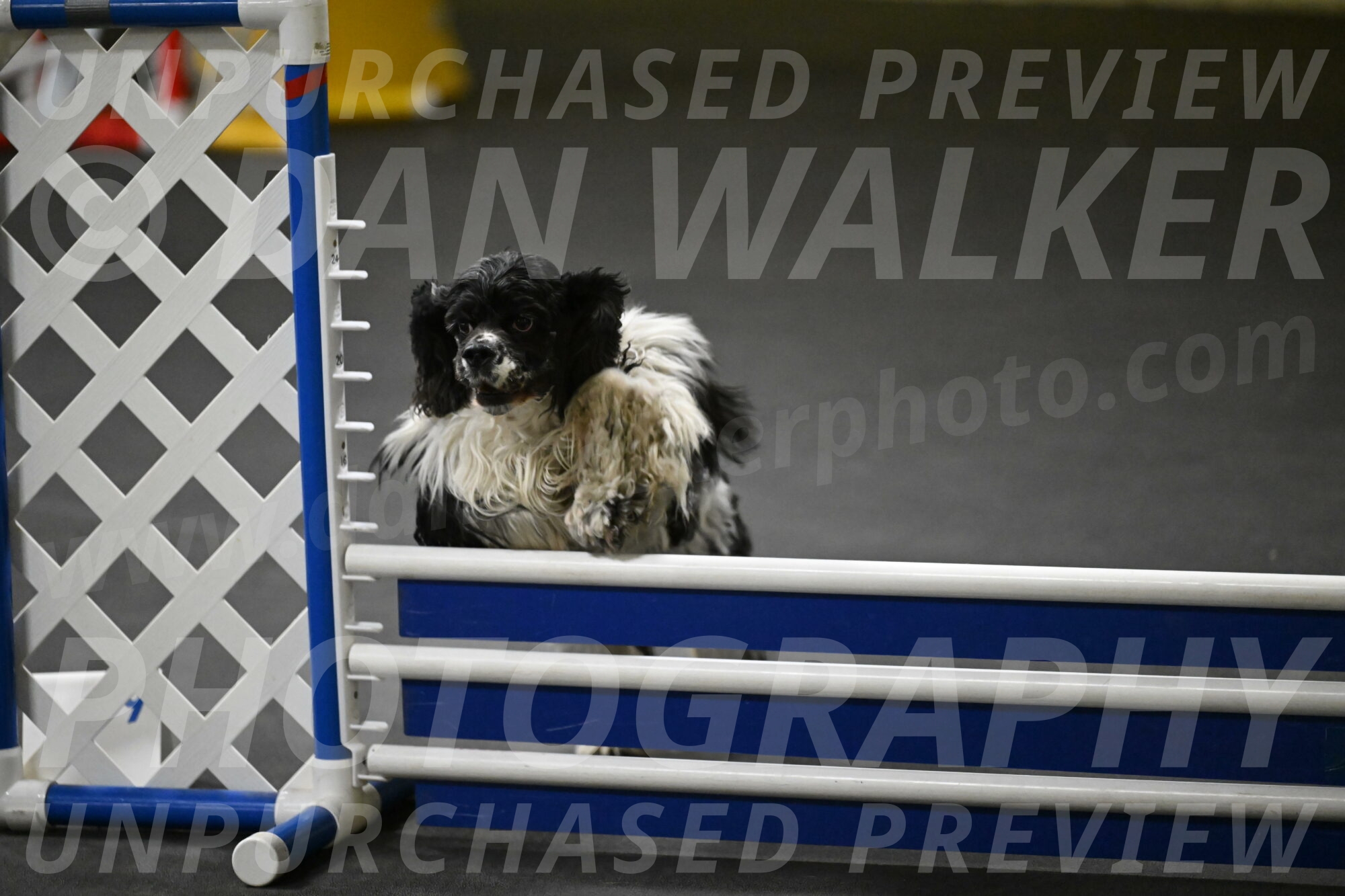 Latimer-Staats-13150