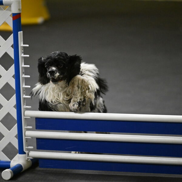 Latimer-Staats-13150