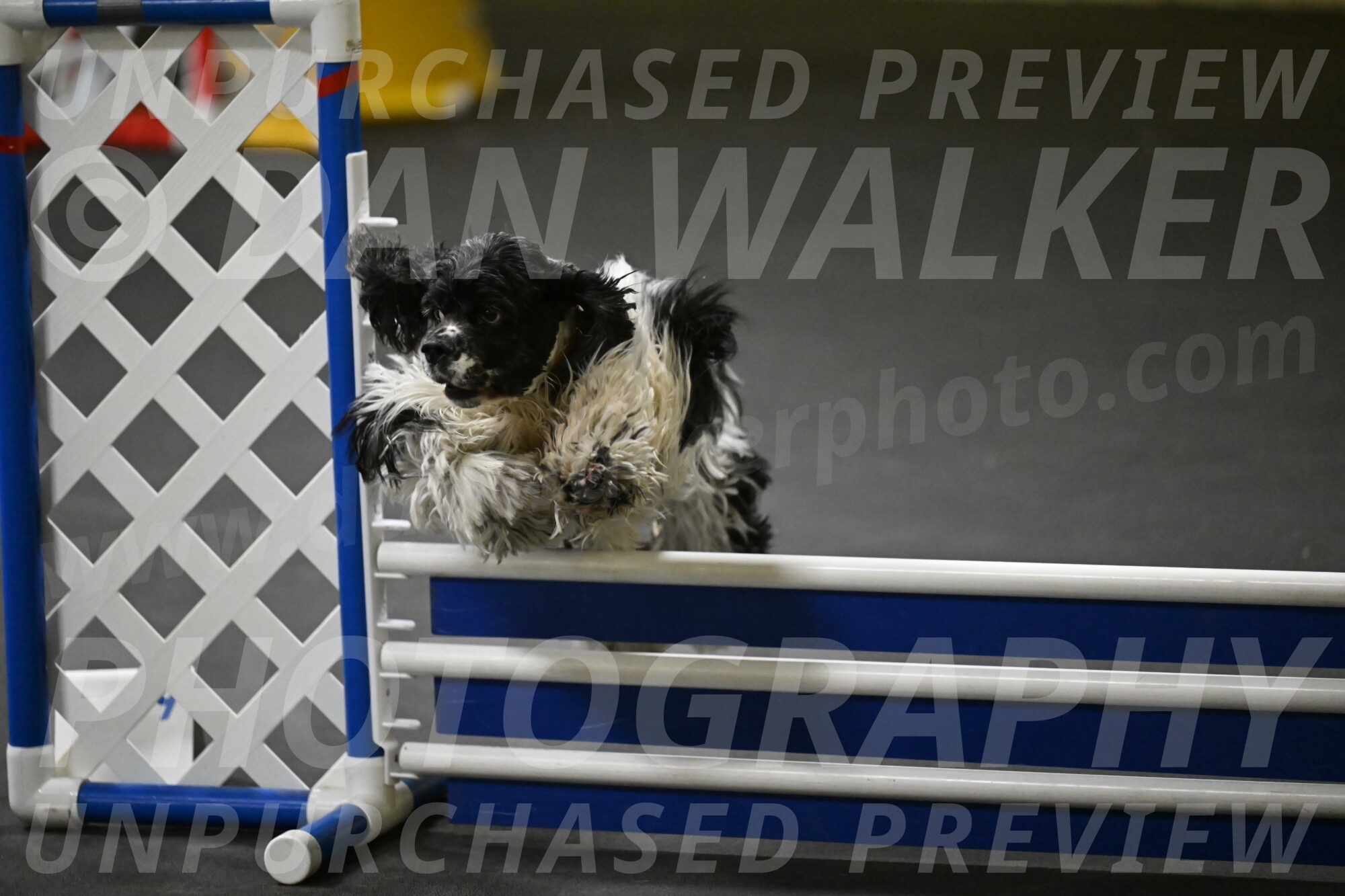 Latimer-Staats-13151