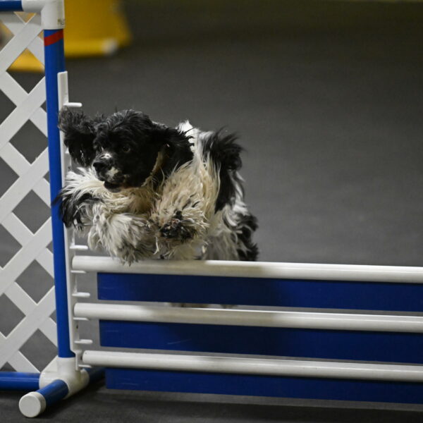 Latimer-Staats-13151