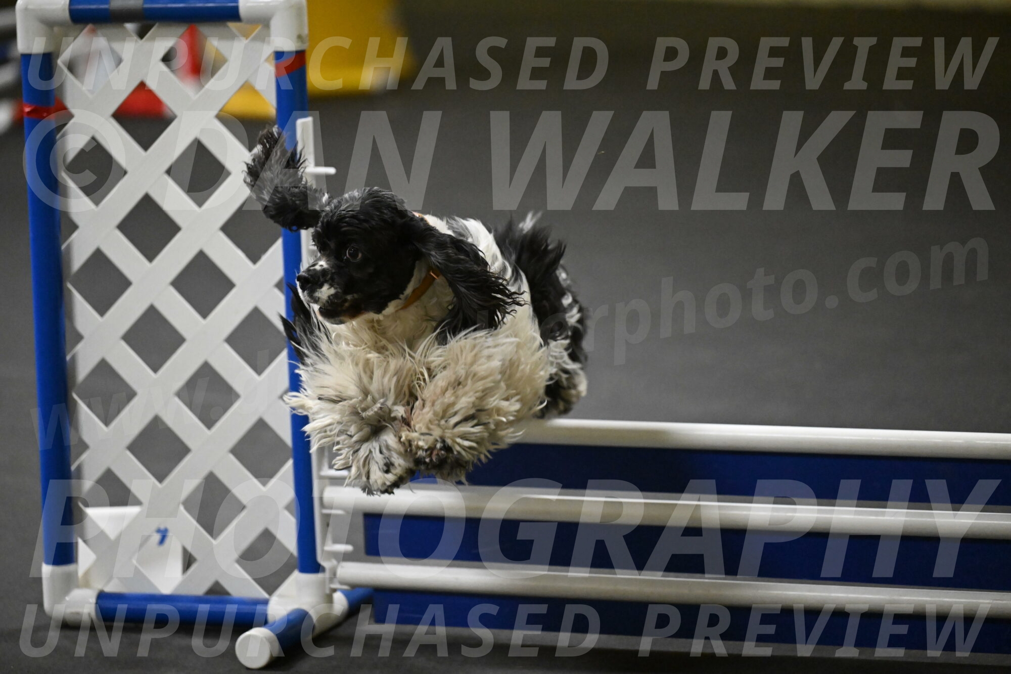 Latimer-Staats-13152