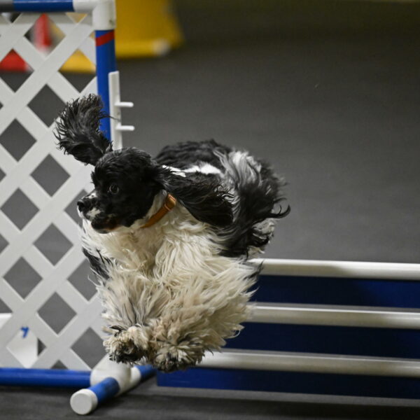 Latimer-Staats-13153