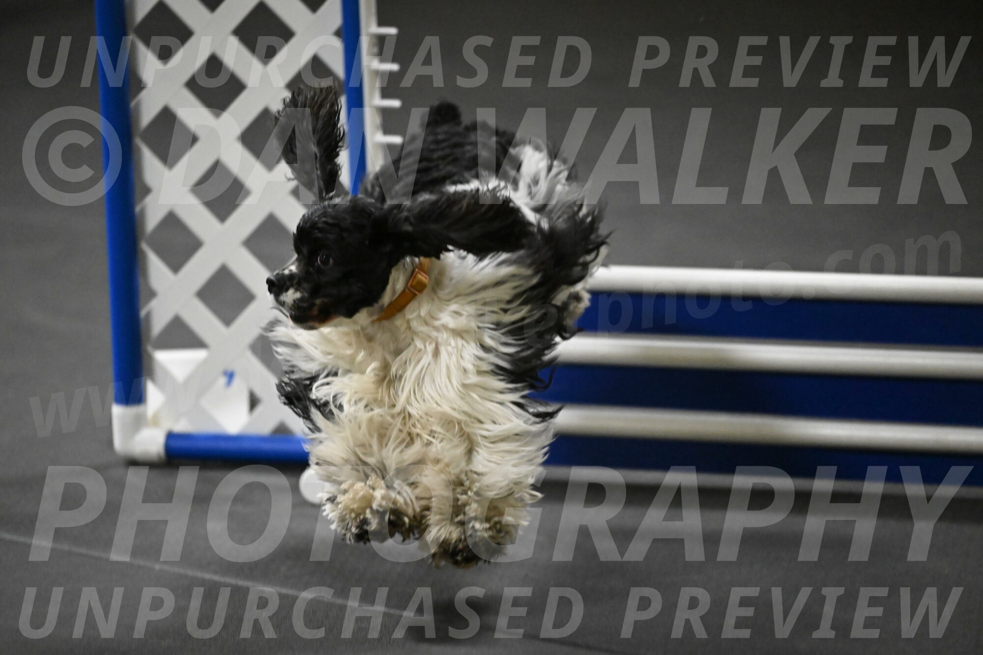 Latimer-Staats-13154