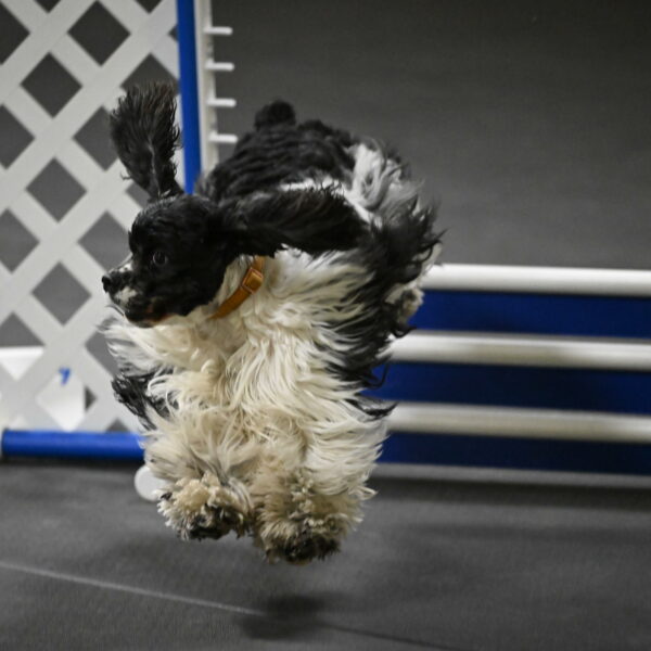 Latimer-Staats-13154