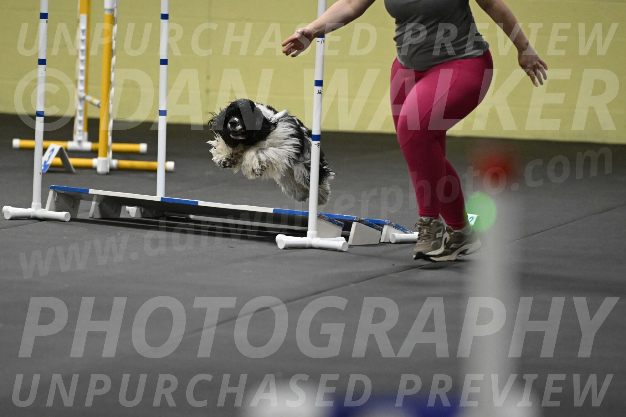 Latimer-Staats-13155