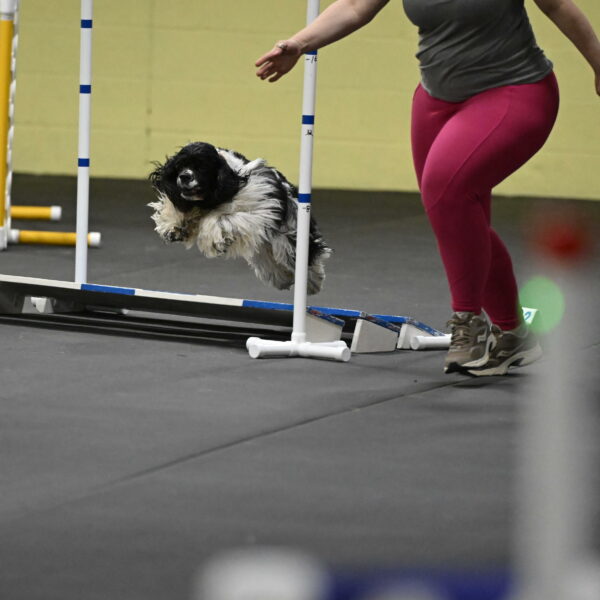 Latimer-Staats-13155