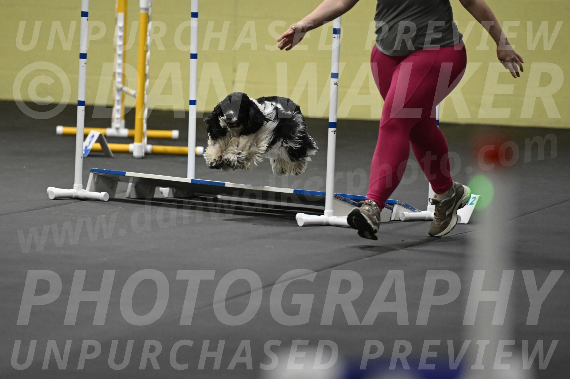 Latimer-Staats-13156