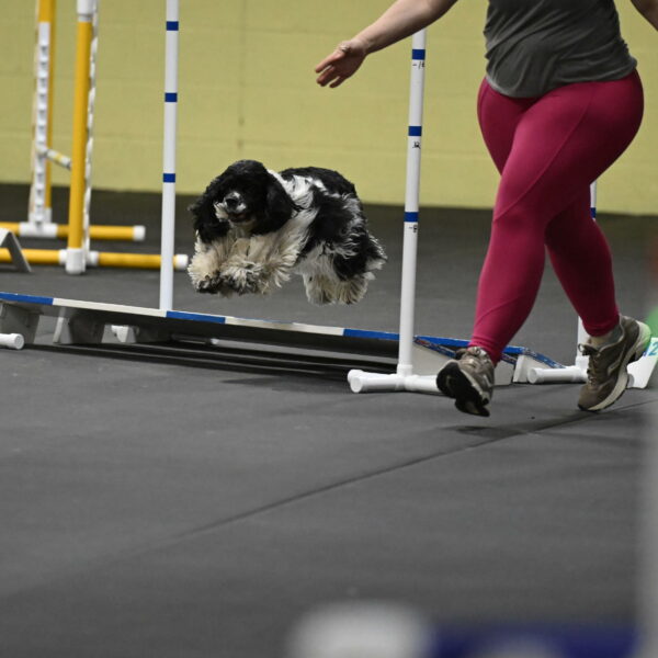 Latimer-Staats-13156