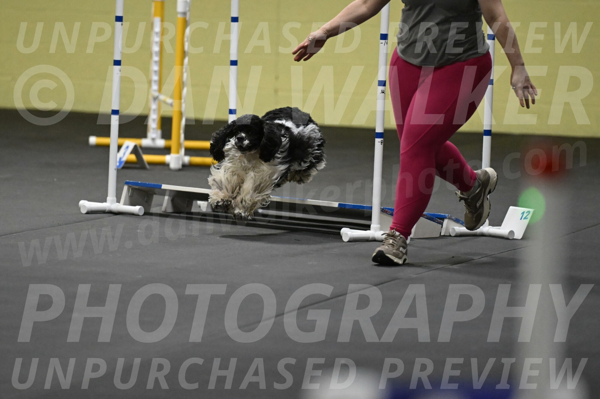 Latimer-Staats-13157