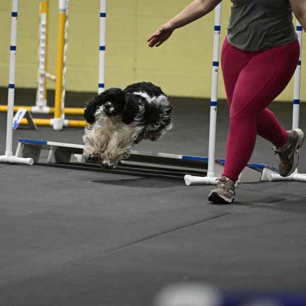 Latimer-Staats-13157