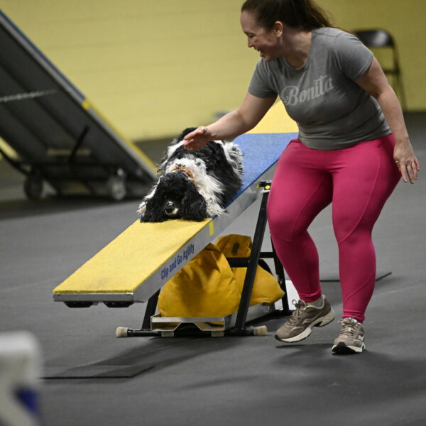 Latimer-Staats-13171