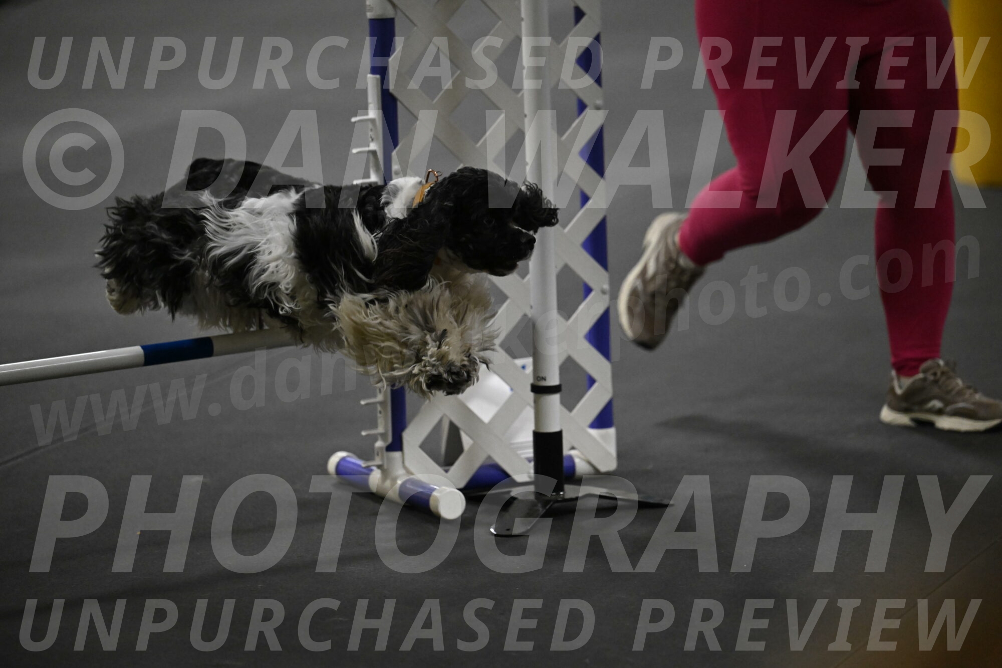 Latimer-Staats-13184