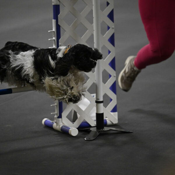 Latimer-Staats-13184