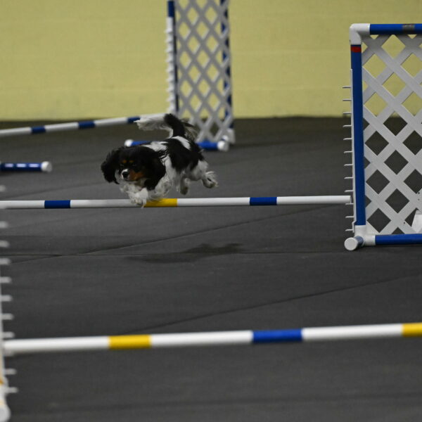 Lilibet-Perossa-10211