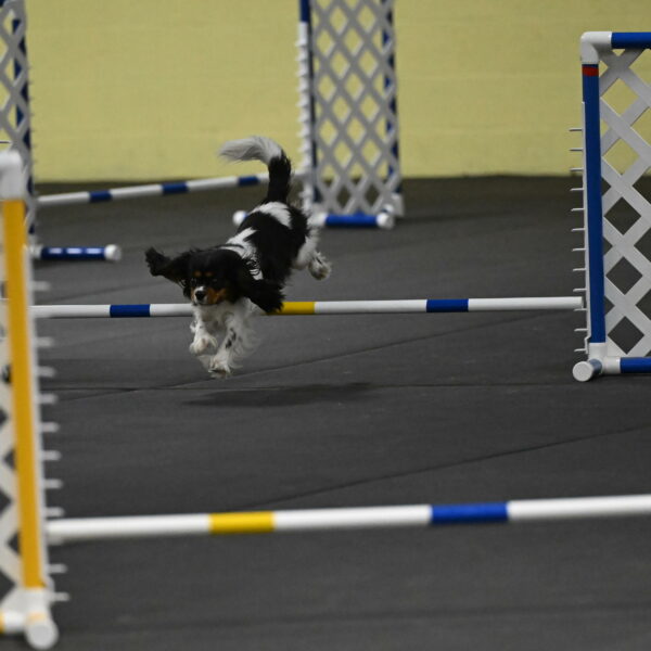 Lilibet-Perossa-10212