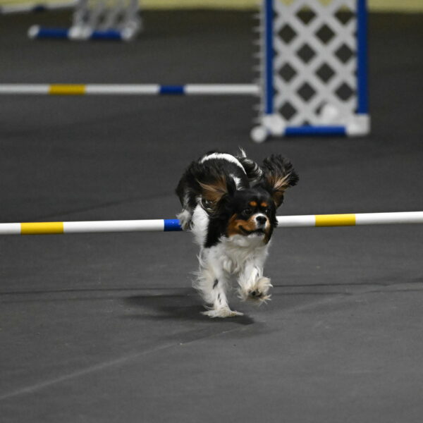 Lilibet-Perossa-10238