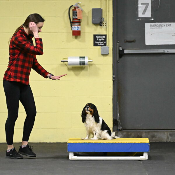 Lilibet-Perossa-10246