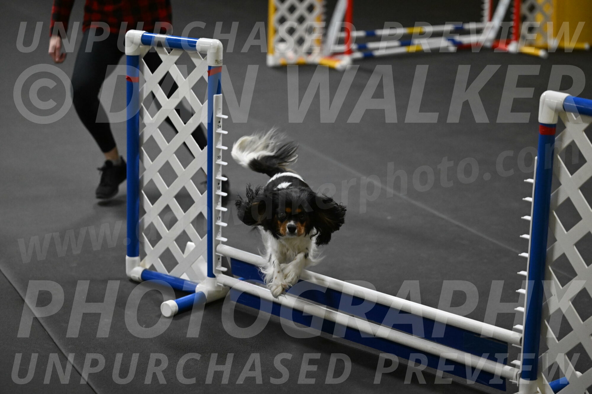 Lilibet-Perossa-10290