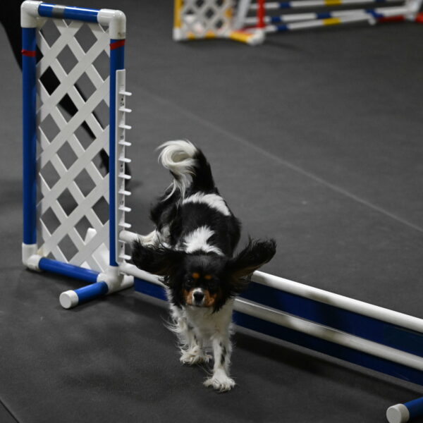 Lilibet-Perossa-10292