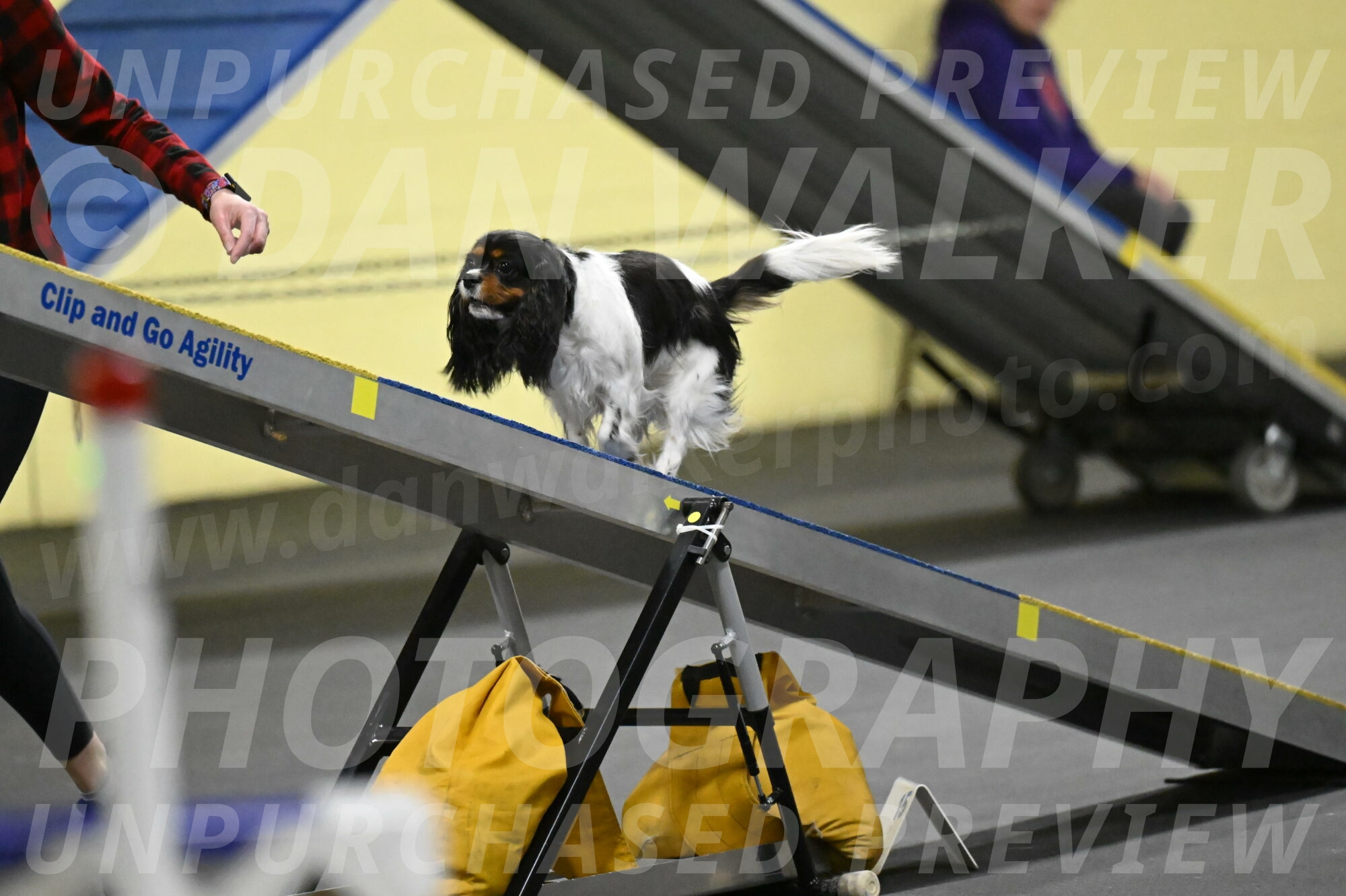 Lilibet-Perossa-10295