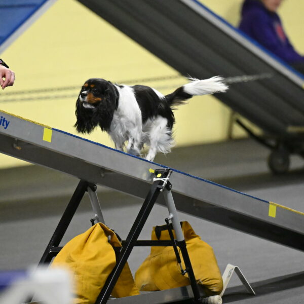 Lilibet-Perossa-10295