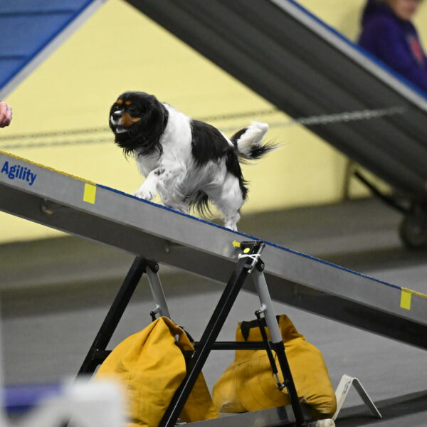 Lilibet-Perossa-10296