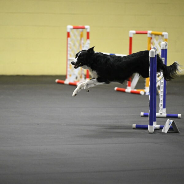 Lincoln-Hollada-09112