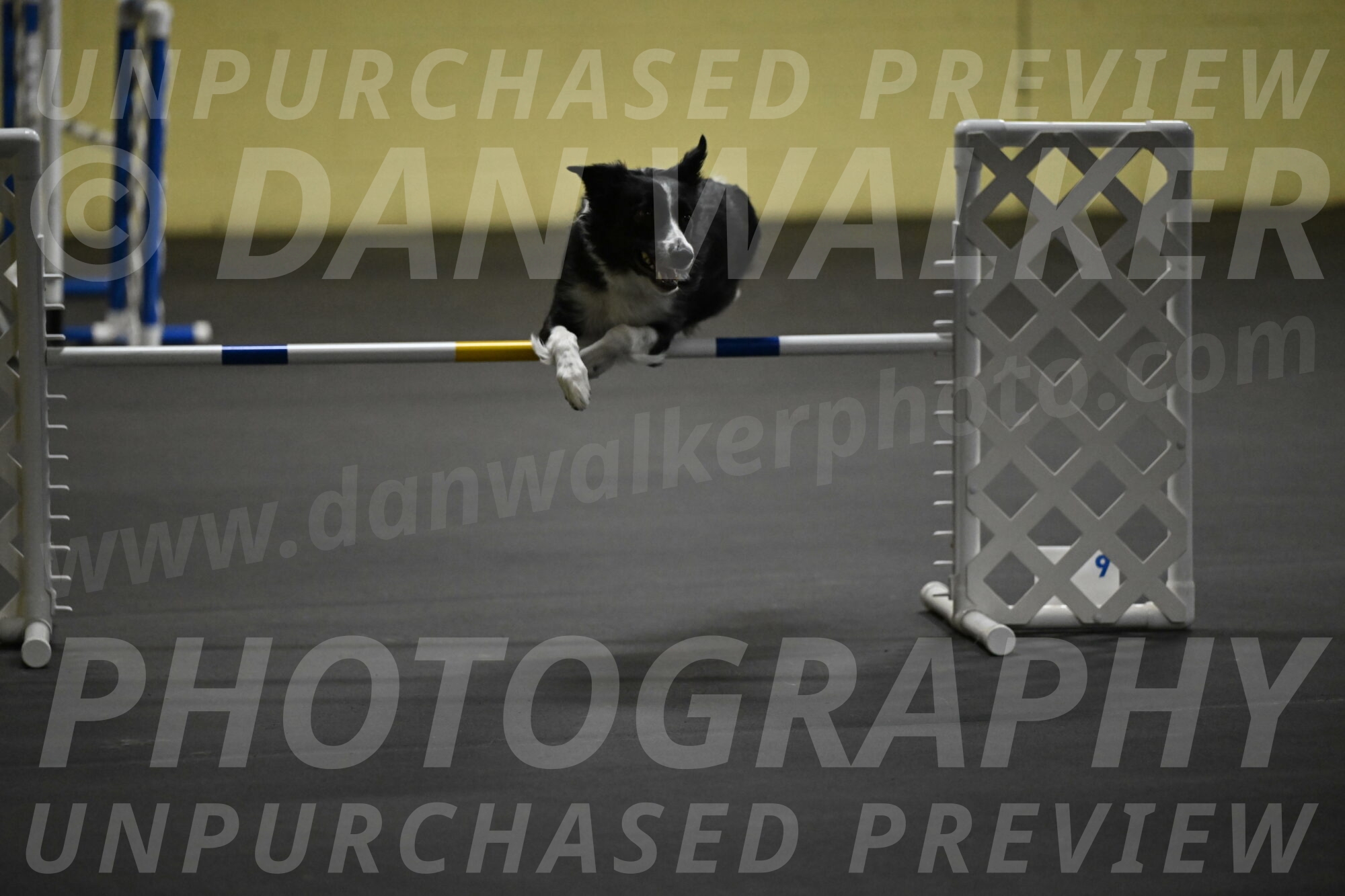 Lincoln-Hollada-09119