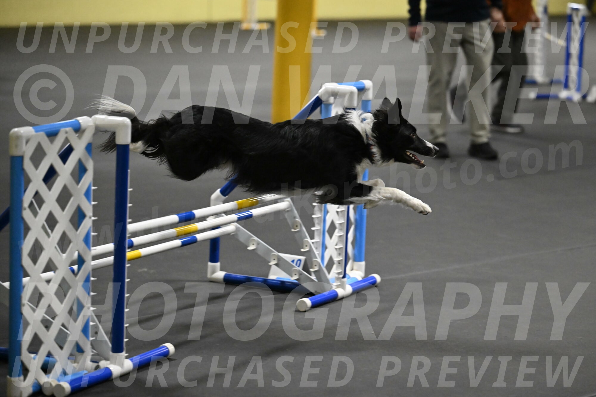 Lincoln-Hollada-09123