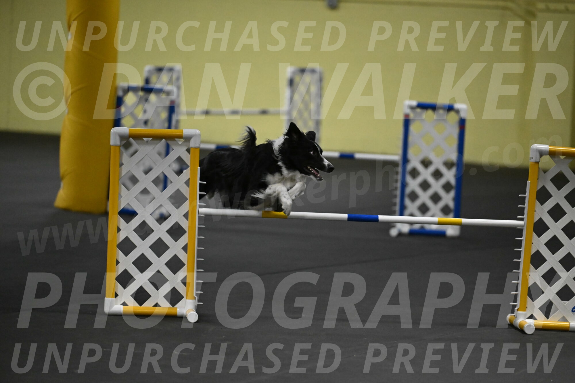 Lincoln-Hollada-09129