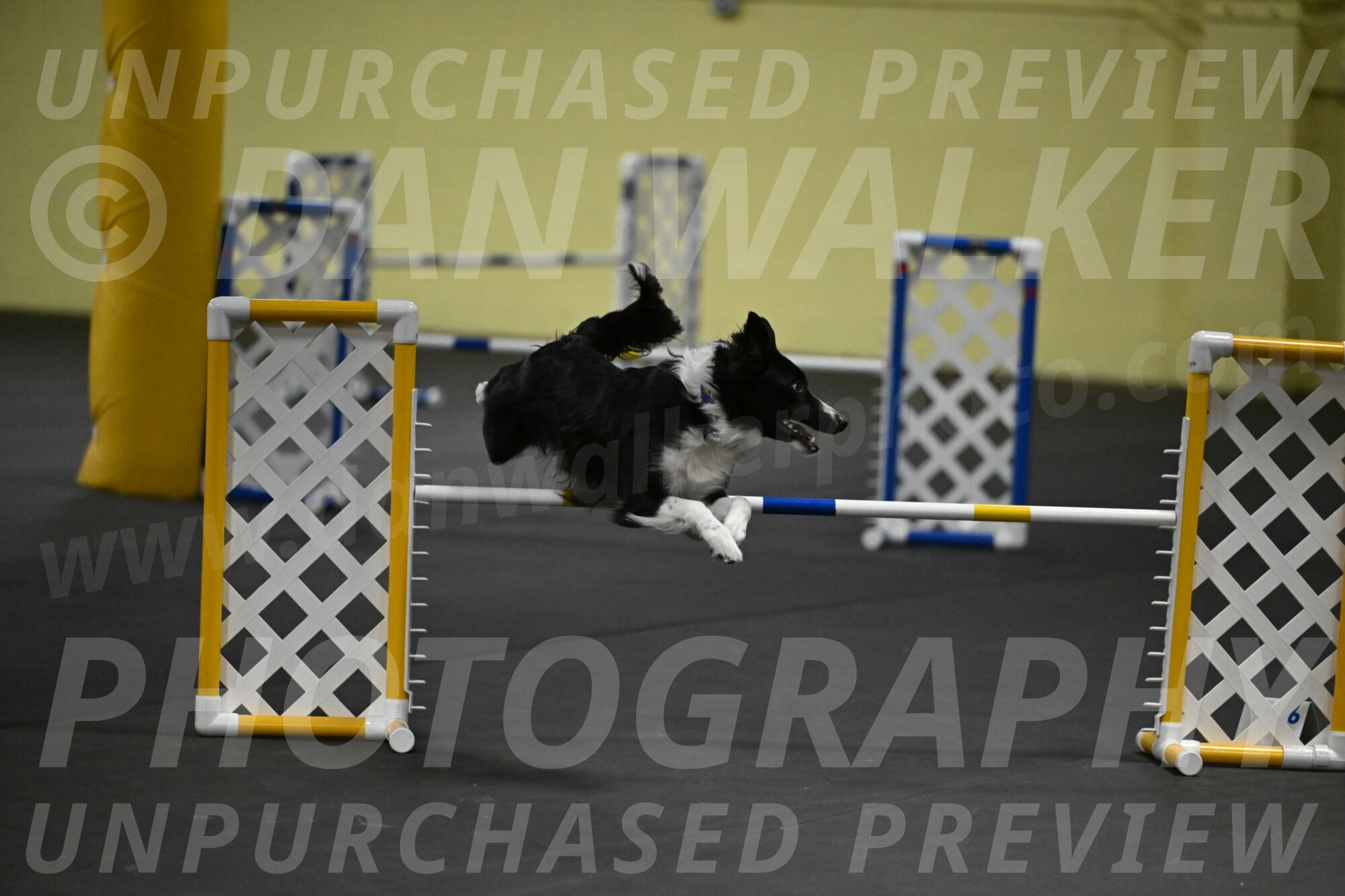 Lincoln-Hollada-09130