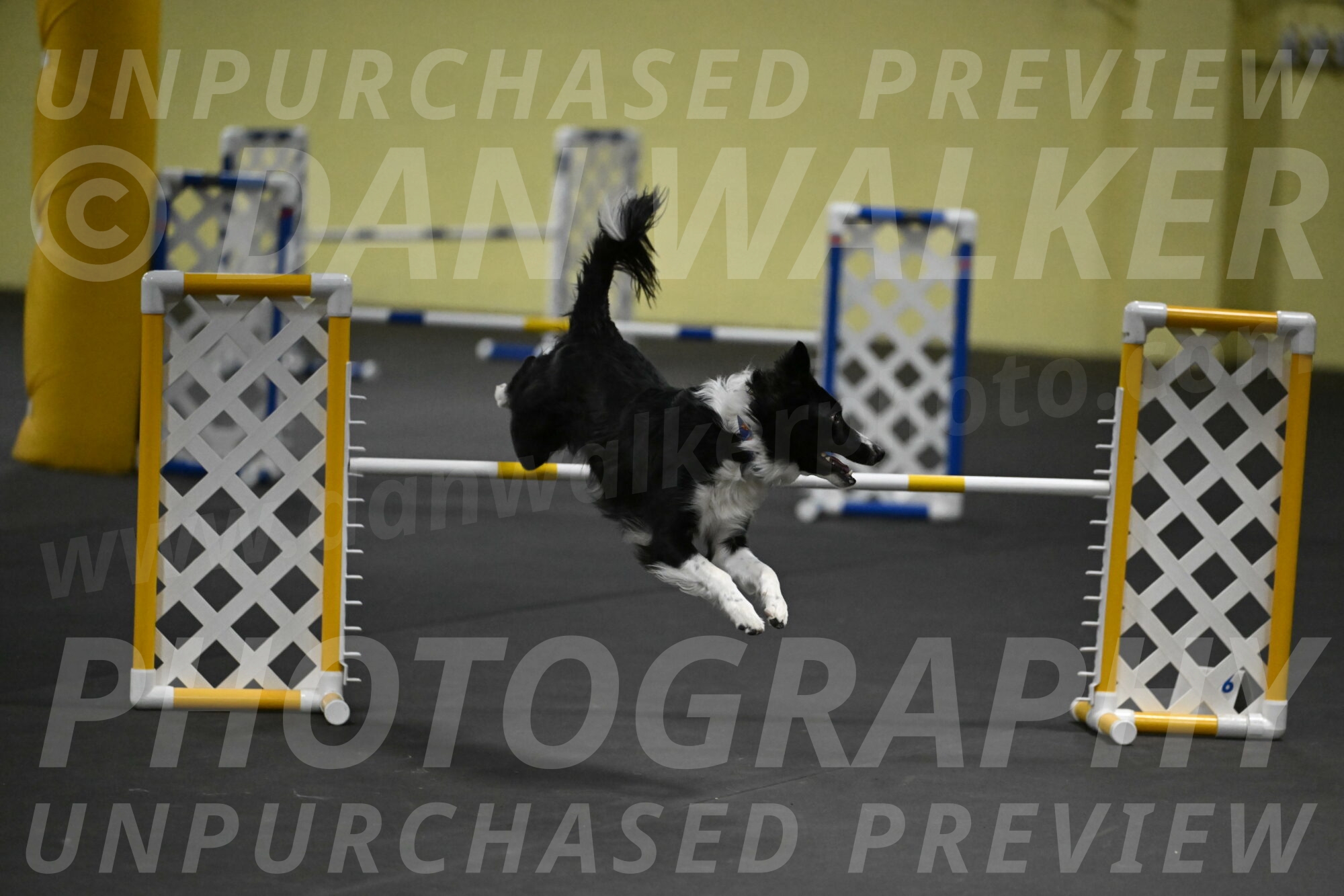 Lincoln-Hollada-09131