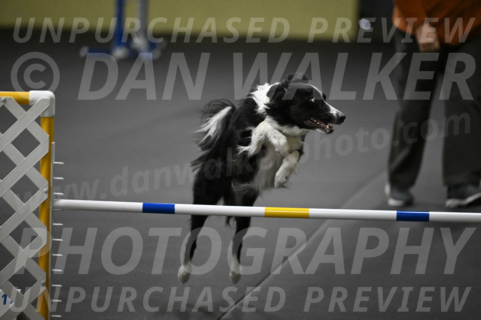 Lincoln-Hollada-09135