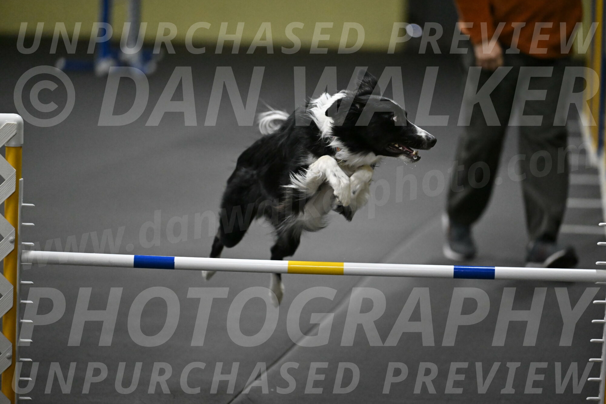 Lincoln-Hollada-09136