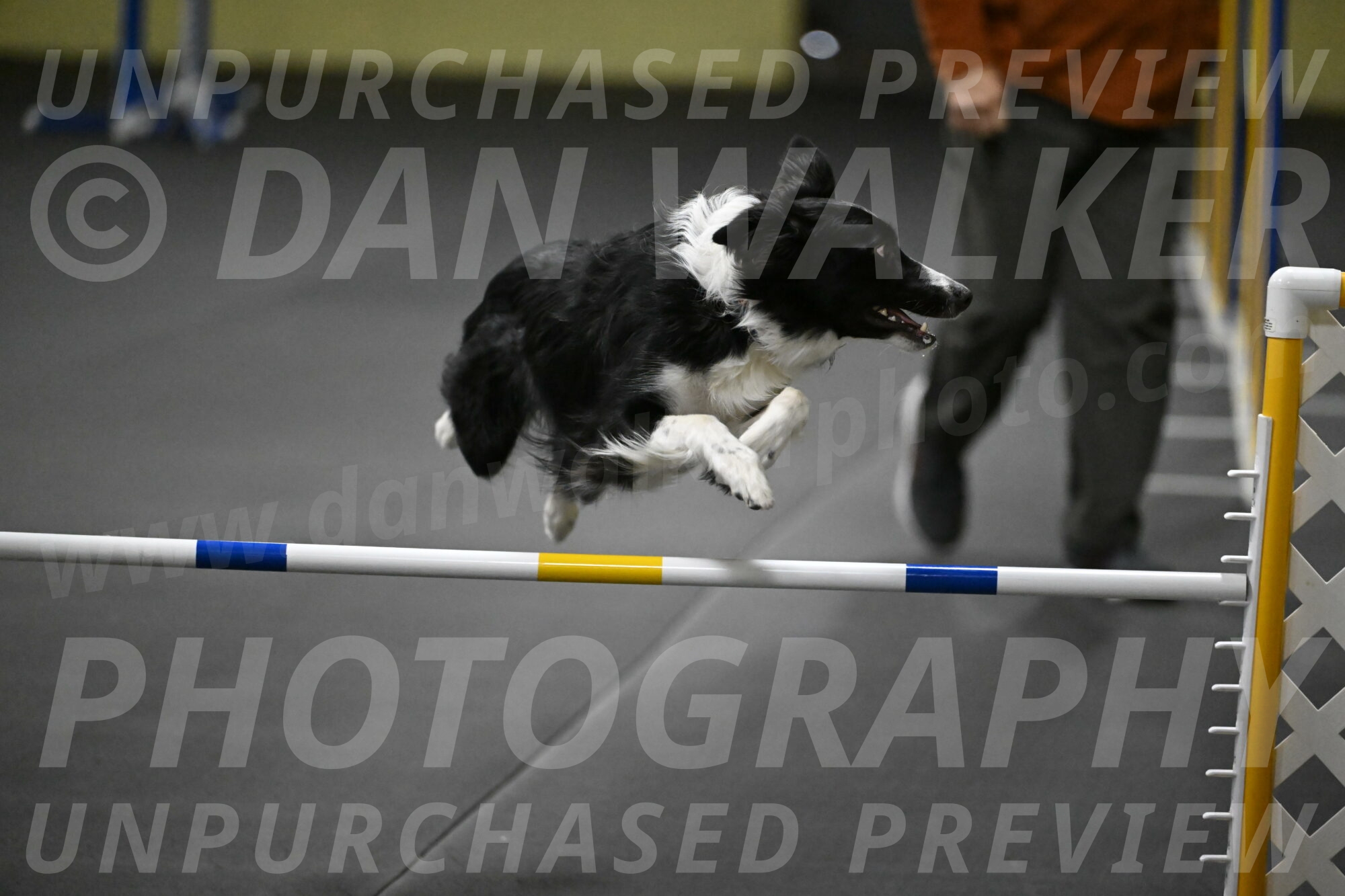 Lincoln-Hollada-09137