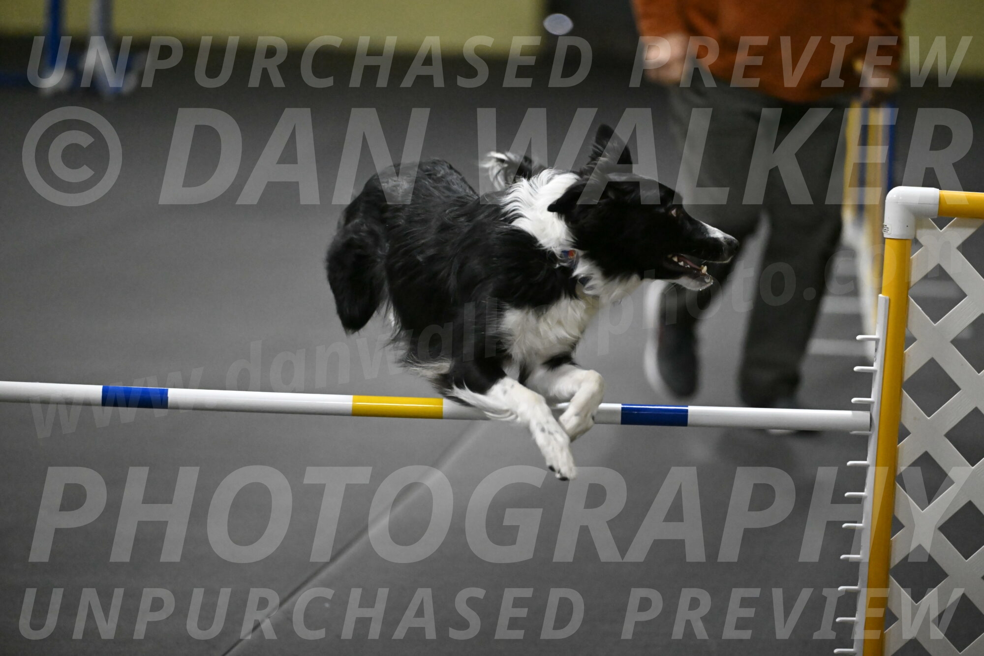 Lincoln-Hollada-09138