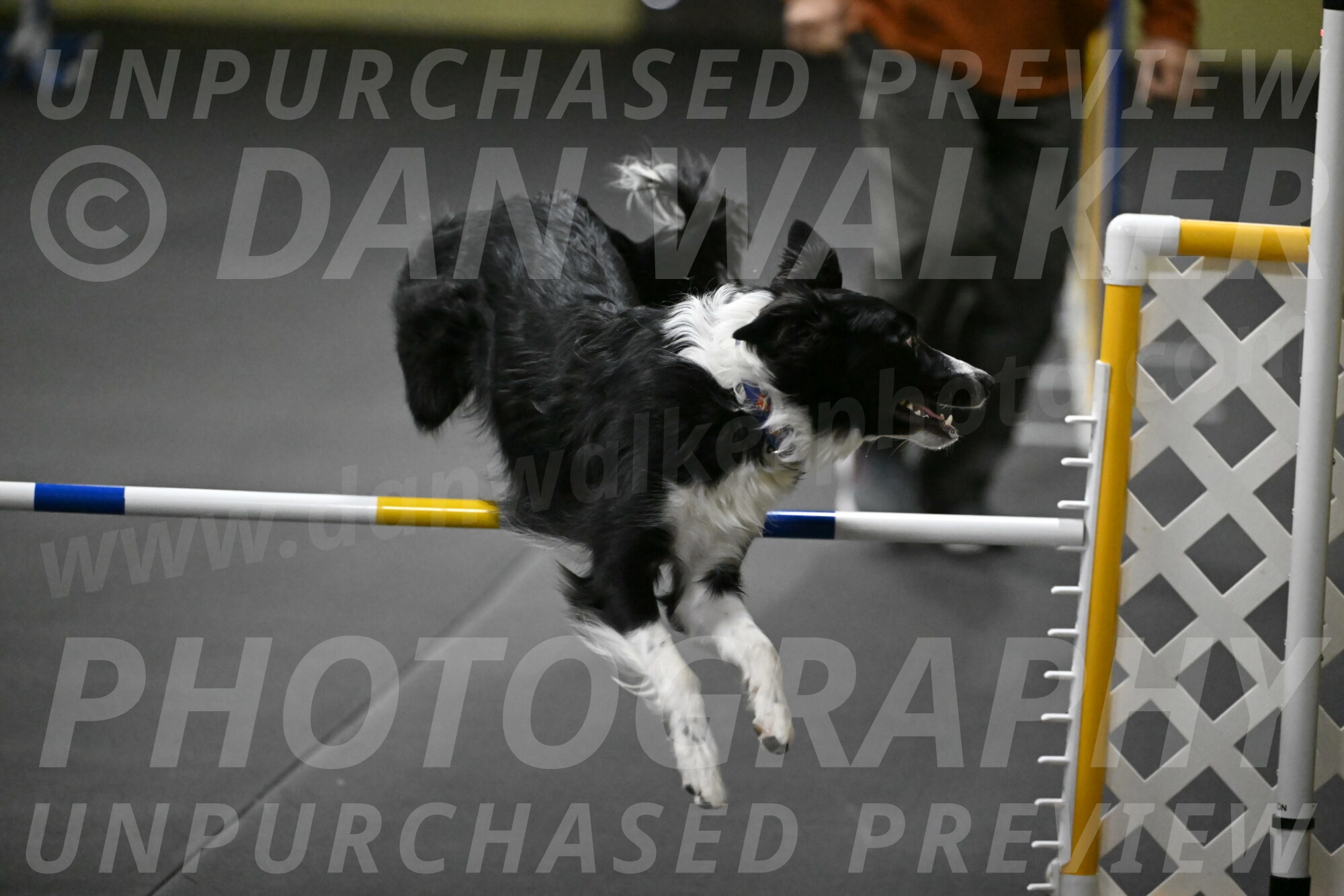 Lincoln-Hollada-09139