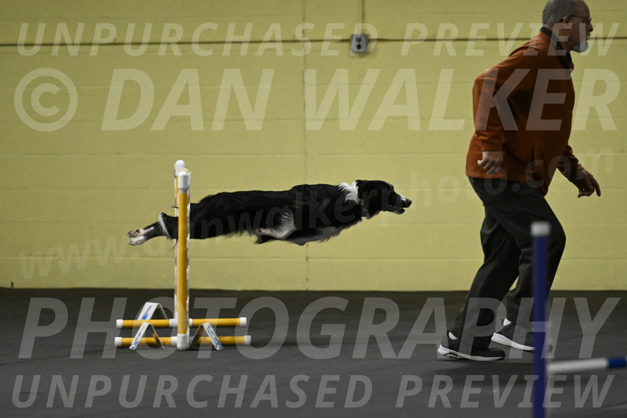 Lincoln-Hollada-09149