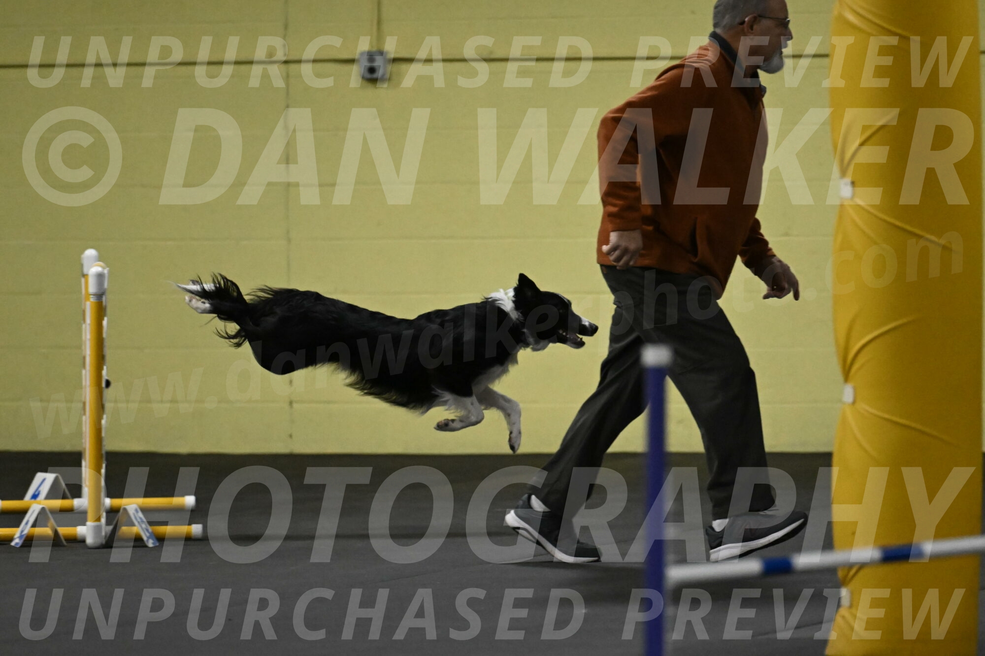 Lincoln-Hollada-09150