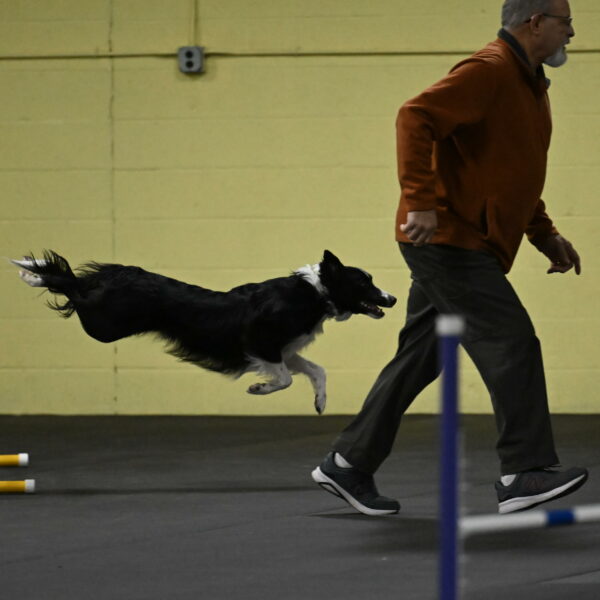 Lincoln-Hollada-09150