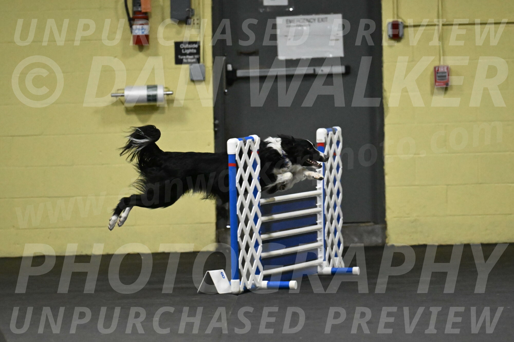 Lincoln-Hollada-09160